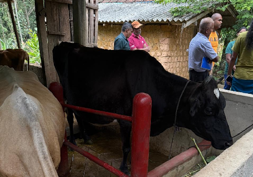 Photo 387: The IFAD SVM and the SAPP Team Visited Bandarawela Dairy 4P farmers, Bandarawela on 16 Sep 2025